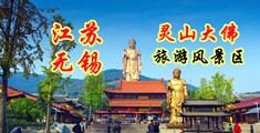 男女下面进入视频江苏无锡灵山大佛旅游风景区