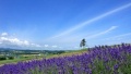 操逼视频能看的日本一地6日游  境外旅游 6880元/人