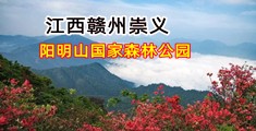 大鸡八操小逼逼